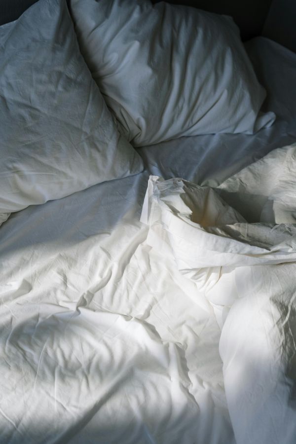 Que faire si vous ne trouvez qu'une seule punaise de lit ?